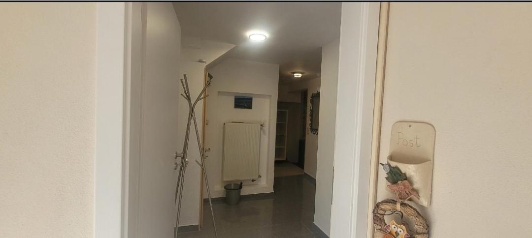 Ferien-Apartment Meter Neumagen-Dhron Eksteriør billede