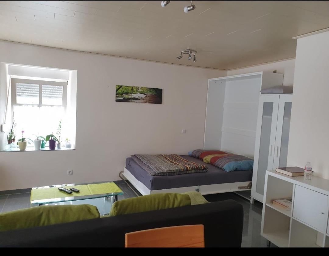 Ferien-Apartment Meter Neumagen-Dhron Eksteriør billede